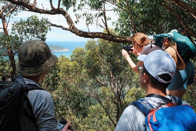Wilson's Promontory Small Group Eco Tour from Melbourne - Wildlife stroll at the former Airfield: wombats at dusk are a real goal