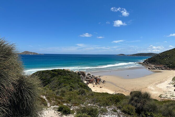 Wilsons Promontory Wilderness Day Tour - Morning Fuel: Koonwarra Coffee Stop Before the Real Scenery