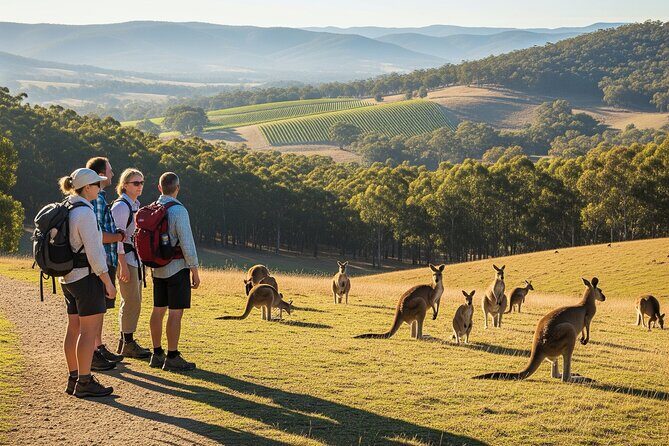 Yarra Valley by night! Private wine, whisky and dinner tour - Key things to look for before you go