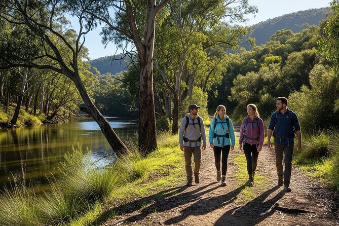 Yarra Valley by night! Private wine, whisky and dinner tour - Drinks, pacing, and how to avoid the usual tasting fatigue