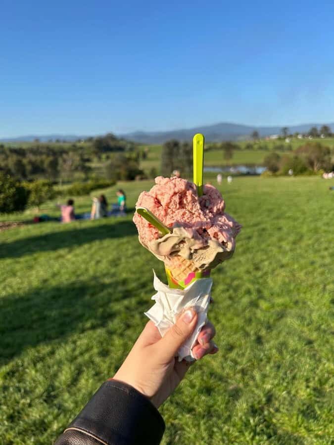 Yarra Valley Foodies Tour with Chandon and Kangaroo Safari! - How the day stays fun instead of food-coma