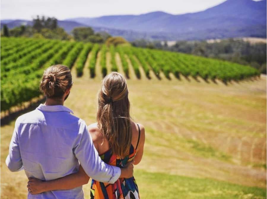 Yarra Valley Foodies Tour with Chandon and Kangaroo Safari! - A late start that still delivers the right kind of light