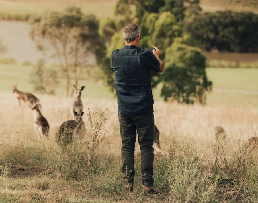 Yarra Valley Foodies Tour with Chandon and Kangaroo Safari! - Domaine Chandon: sparkling wine, views, and time for lunch plans