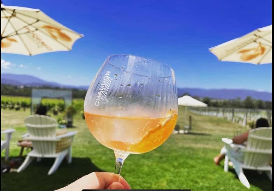 Yarra Valley Foodies Tour with Chandon and Kangaroo Safari! - Federation Square pickup and a comfortable small-group drive