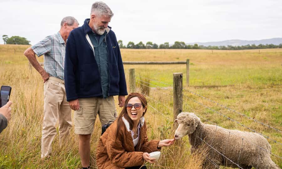 Yarra Valley Full Day Grazing Tour: Gin, Wine, Pizza, Cheese - Price and Value: What $133 Covers on a Full-Day Grazing Tour