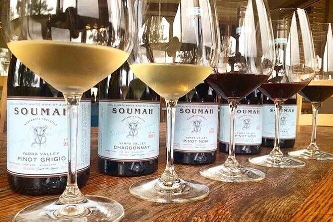 Yarra Valley Half-Day Winery Tour from Melbourne - Price and what you’re really paying for