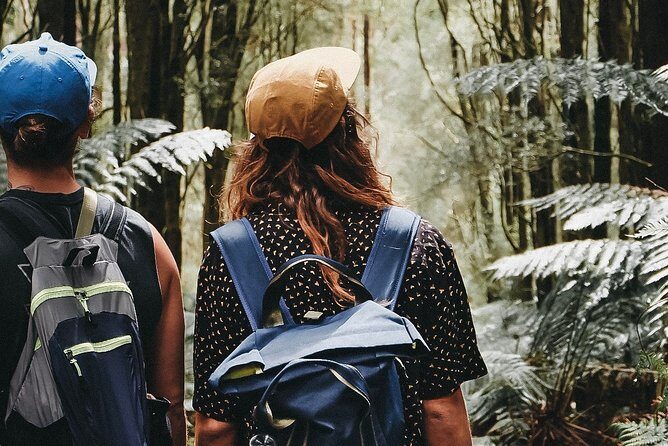 Yarra Valley Wildlife & Wine Day Tour with Healesville Sanctuary - Who this tour suits best (and who should adjust expectations)