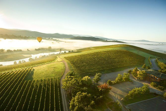 Yarra Valley Wine Day Tour - De Bortoli Winery: Cheese, Estate Wines, and a Dessert Wine Finish