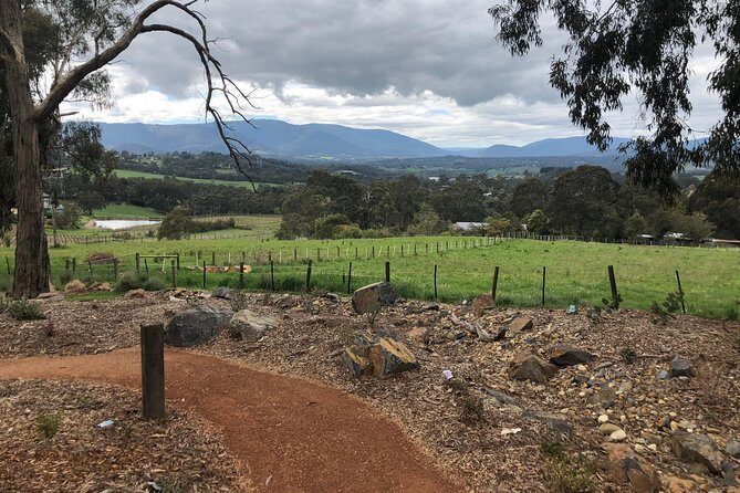 Yarra Valley Wine Tour inc lunch with a glass of wine, tastings and chocolate - Four winery stops: how the day is paced (and why it works)