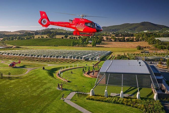 Yarra Valley Wine & Wildlife - Private Regional Tour - Tutored cellar-door time: why wine guidance beats wandering