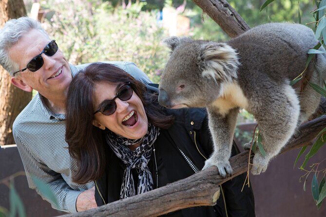 Yarra Valley Wine & Wildlife - Private Regional Tour - Price and logistics: is $767.45 per person really value?