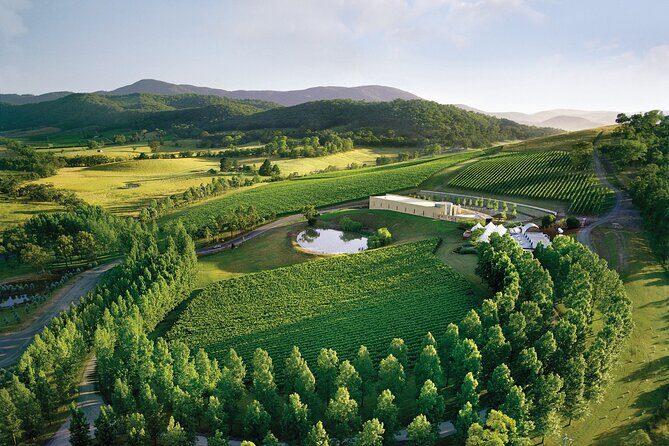 Yarra Valley Wineries Private Day Tour - Why the Melbourne-to-Yarra Valley Drive Sets the Tone for Everything
